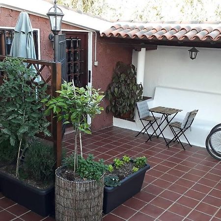 Apartamento Tranquilo En Una Casa Con Jardin San Cristóbal de La Laguna Exterior foto